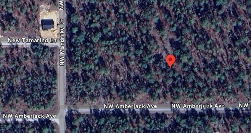 Image 9 of 10 For Amberjack Avenue Lot #33
