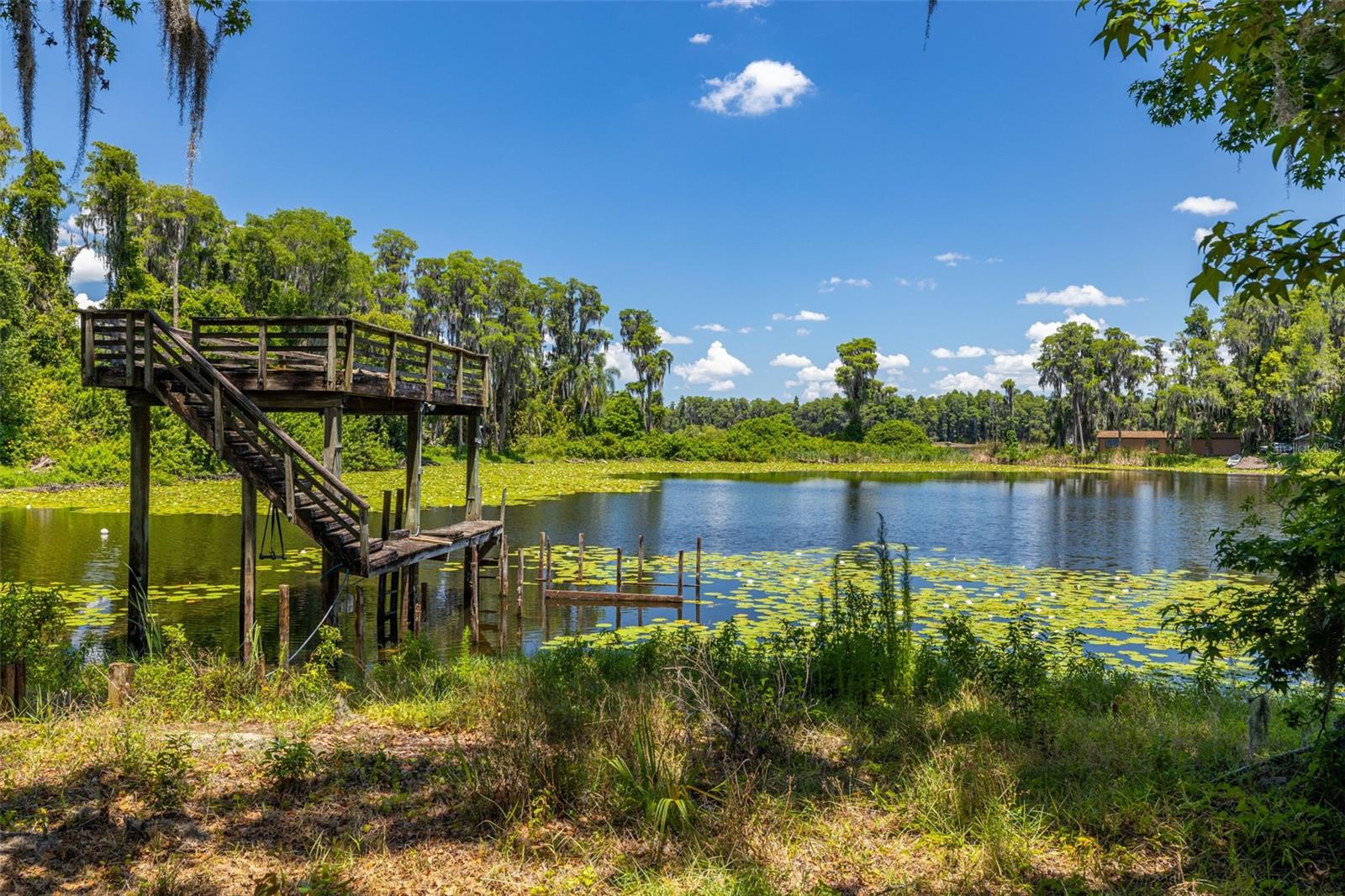 Image 8 of 62 For 503 Lutz Lake Fern Road