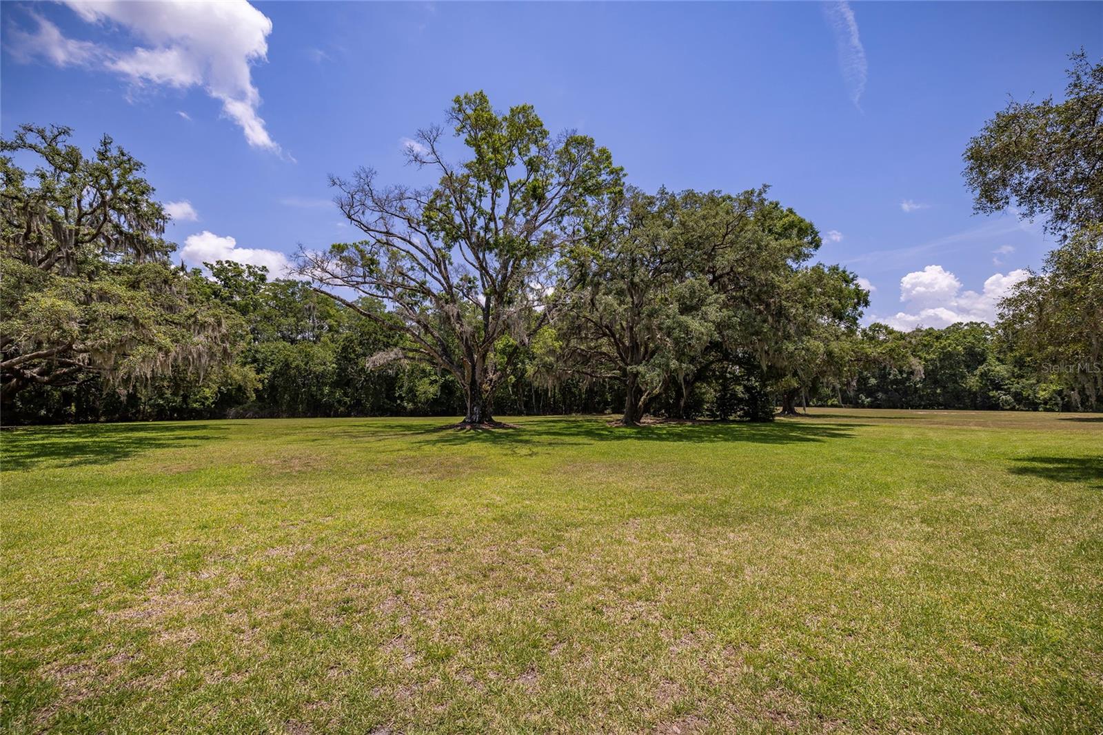 Listing photo id 83 for 550 East Lake Road N