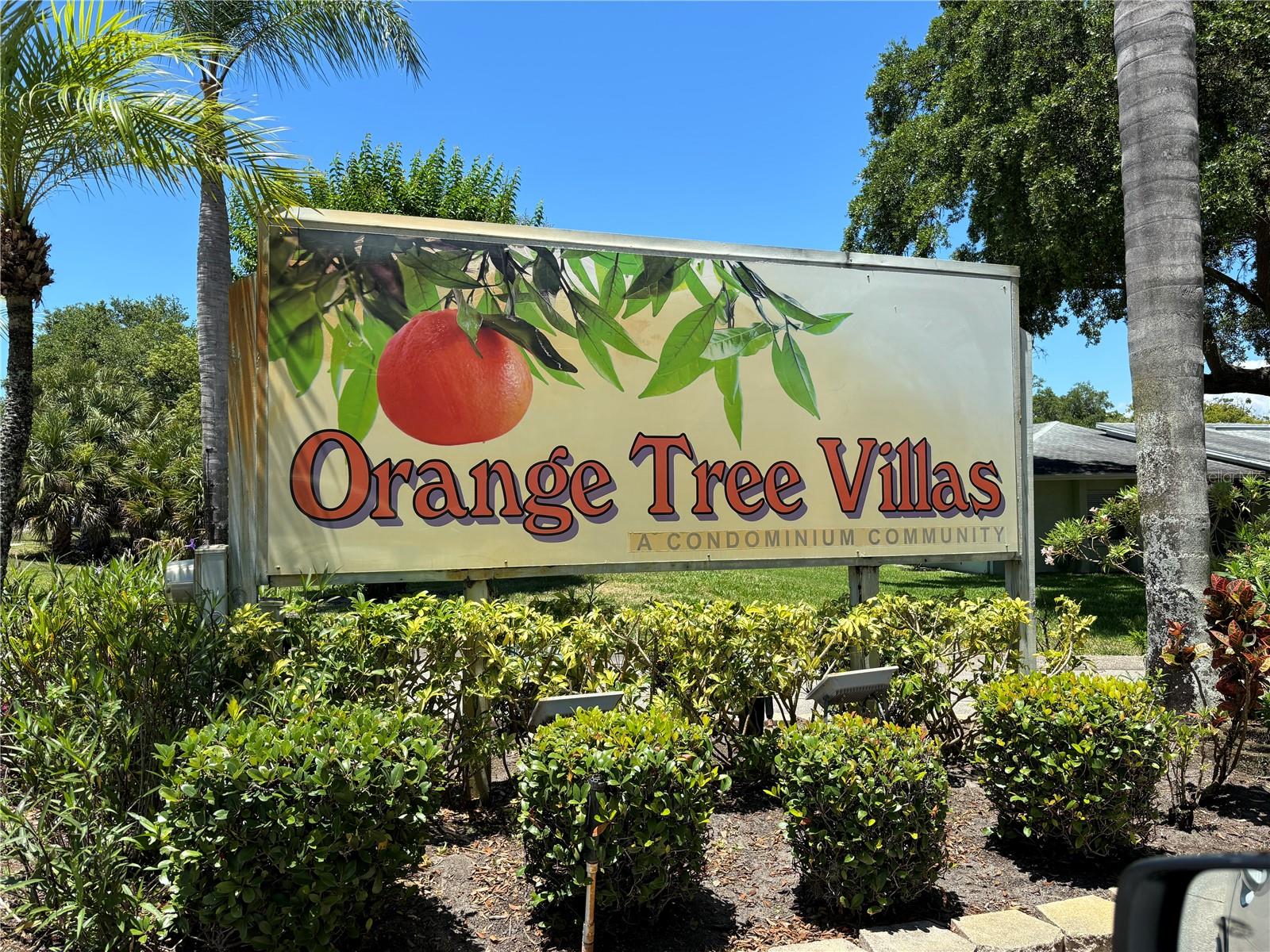 Details for 1139 Orange Tree Circle E A, PALM HARBOR, FL 34684