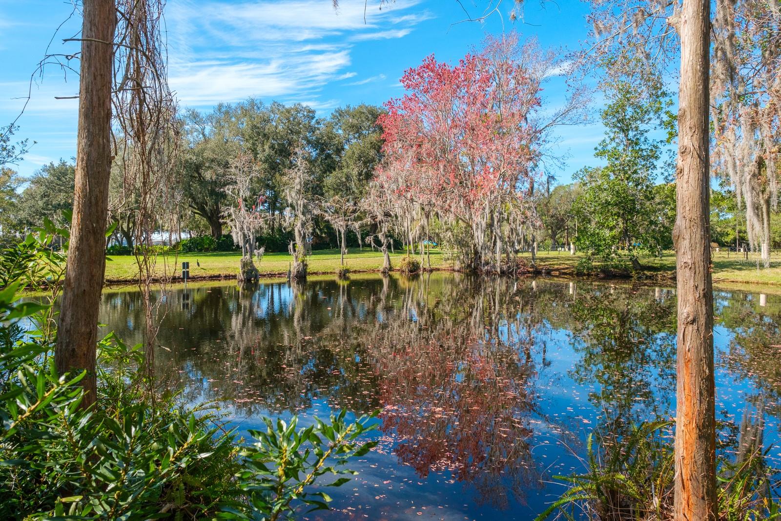 Image 90 of 97 For 4427 Lavender Drive