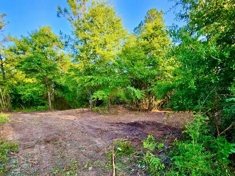 Image 27 of 40 For Pinetree Lane