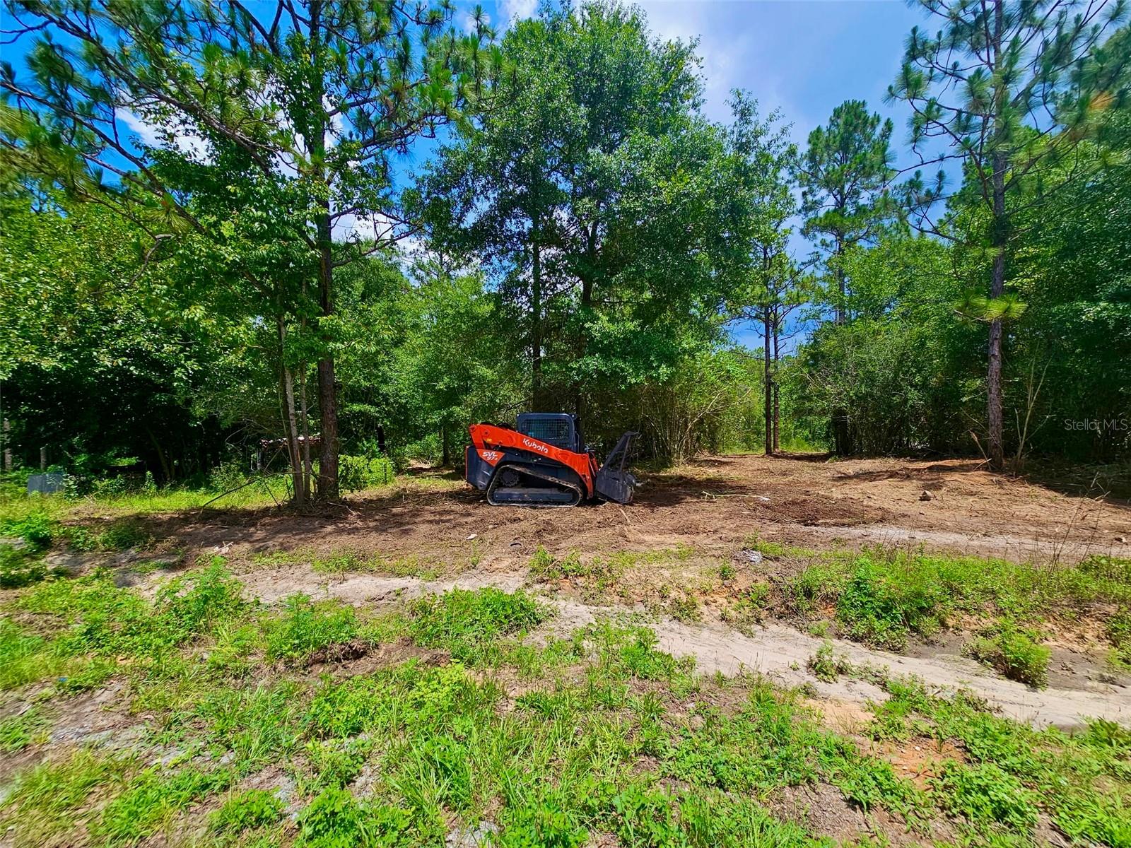 Image 29 of 40 For Pinetree Lane