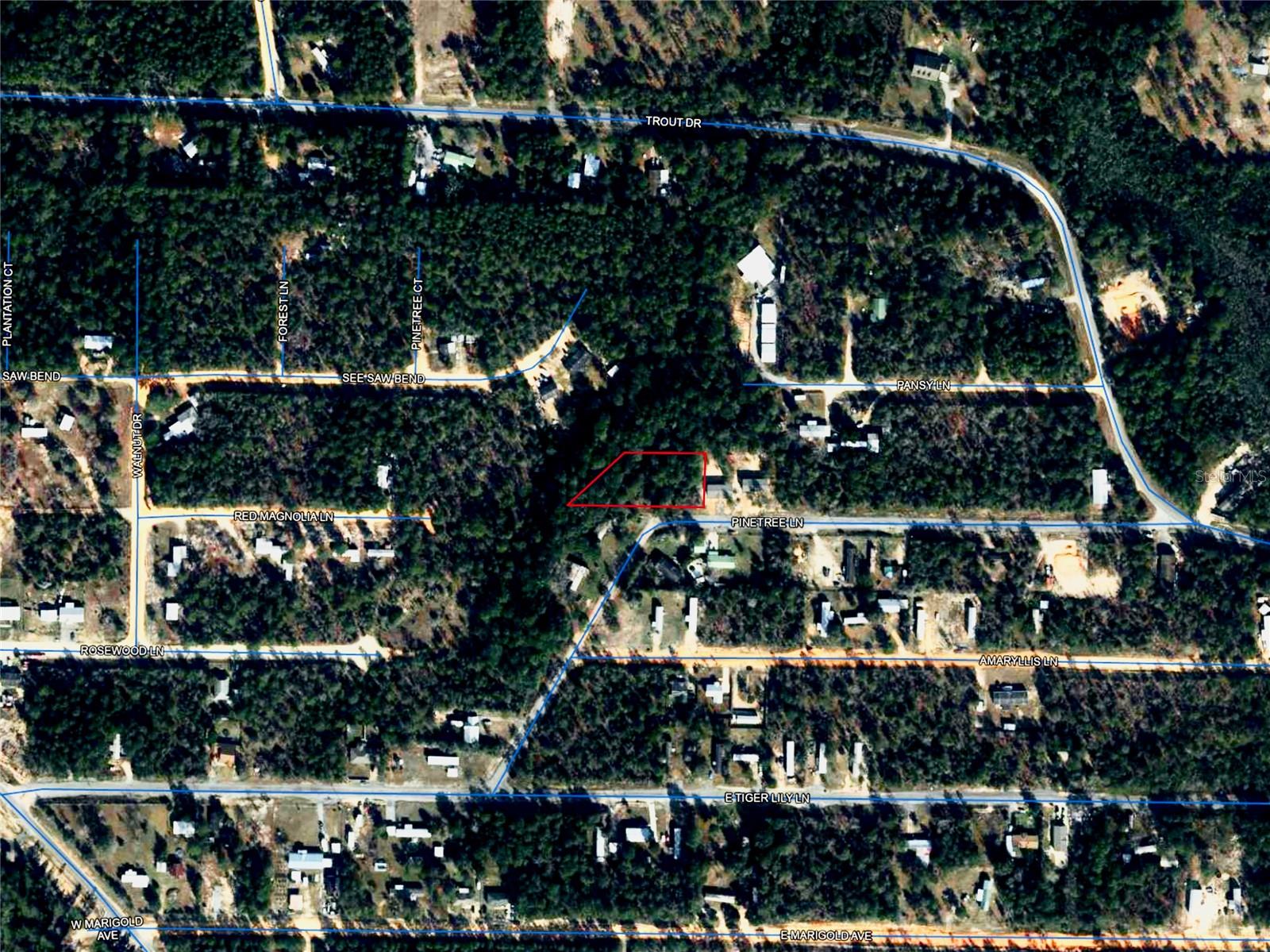 Image 38 of 40 For Pinetree Lane