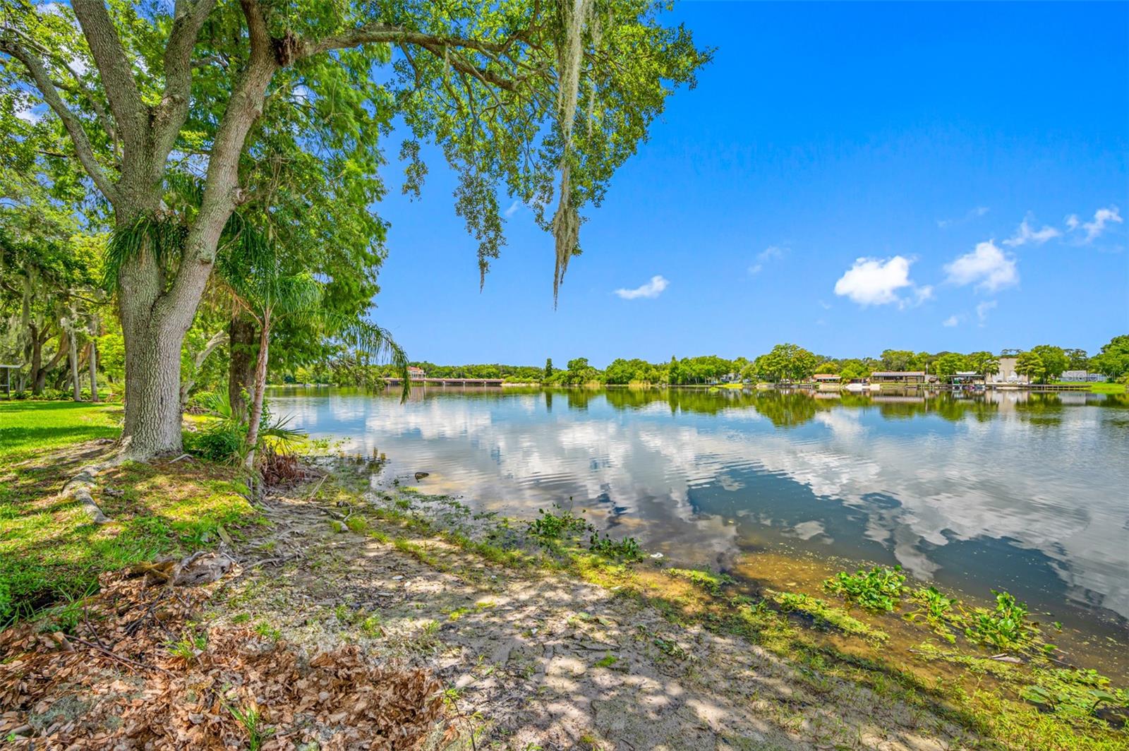 Details for 7194 Bank Drive 106, TAMPA, FL 33617