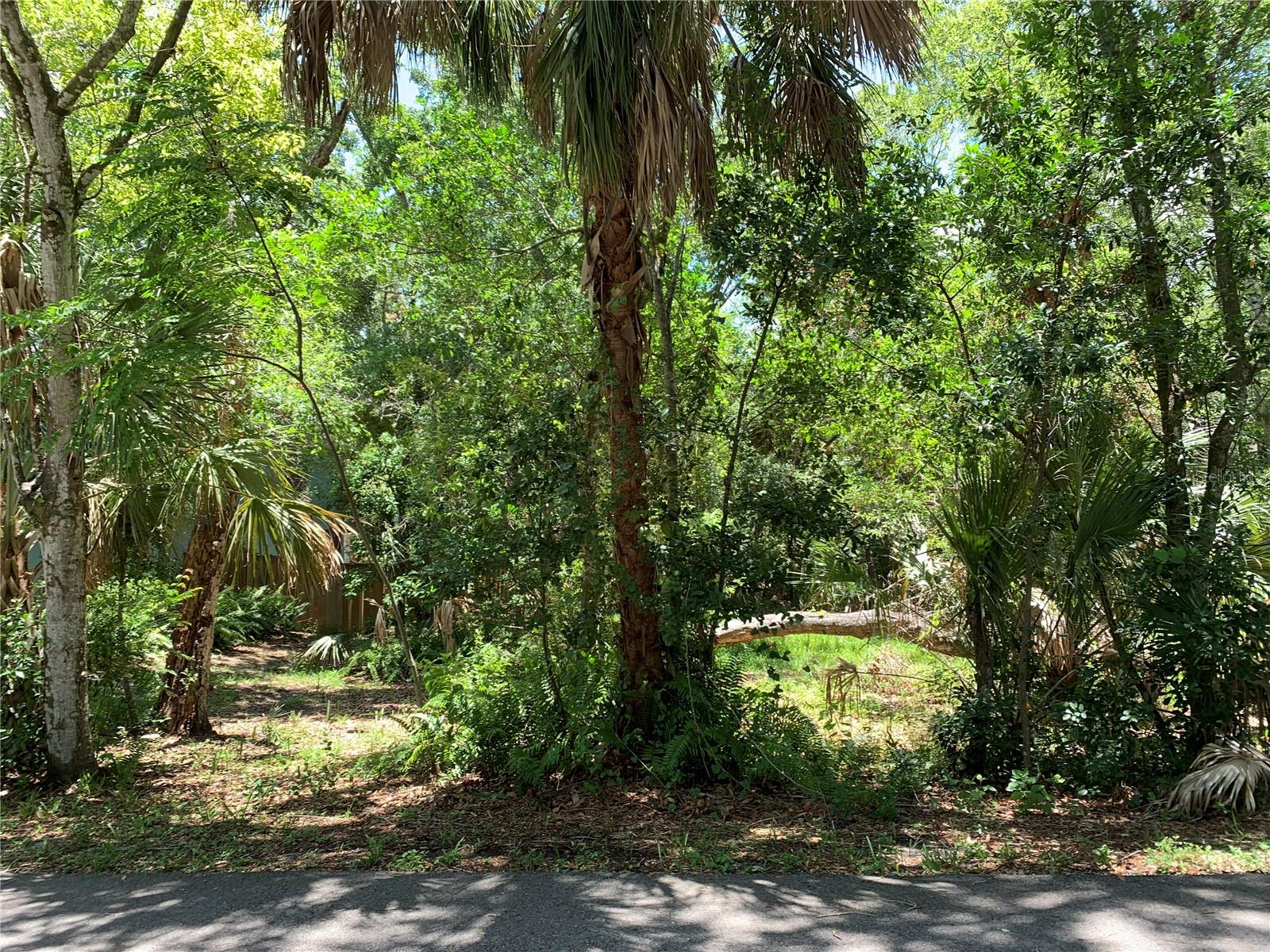 Listing Details for Center Avenue, TARPON SPRINGS, FL 34689