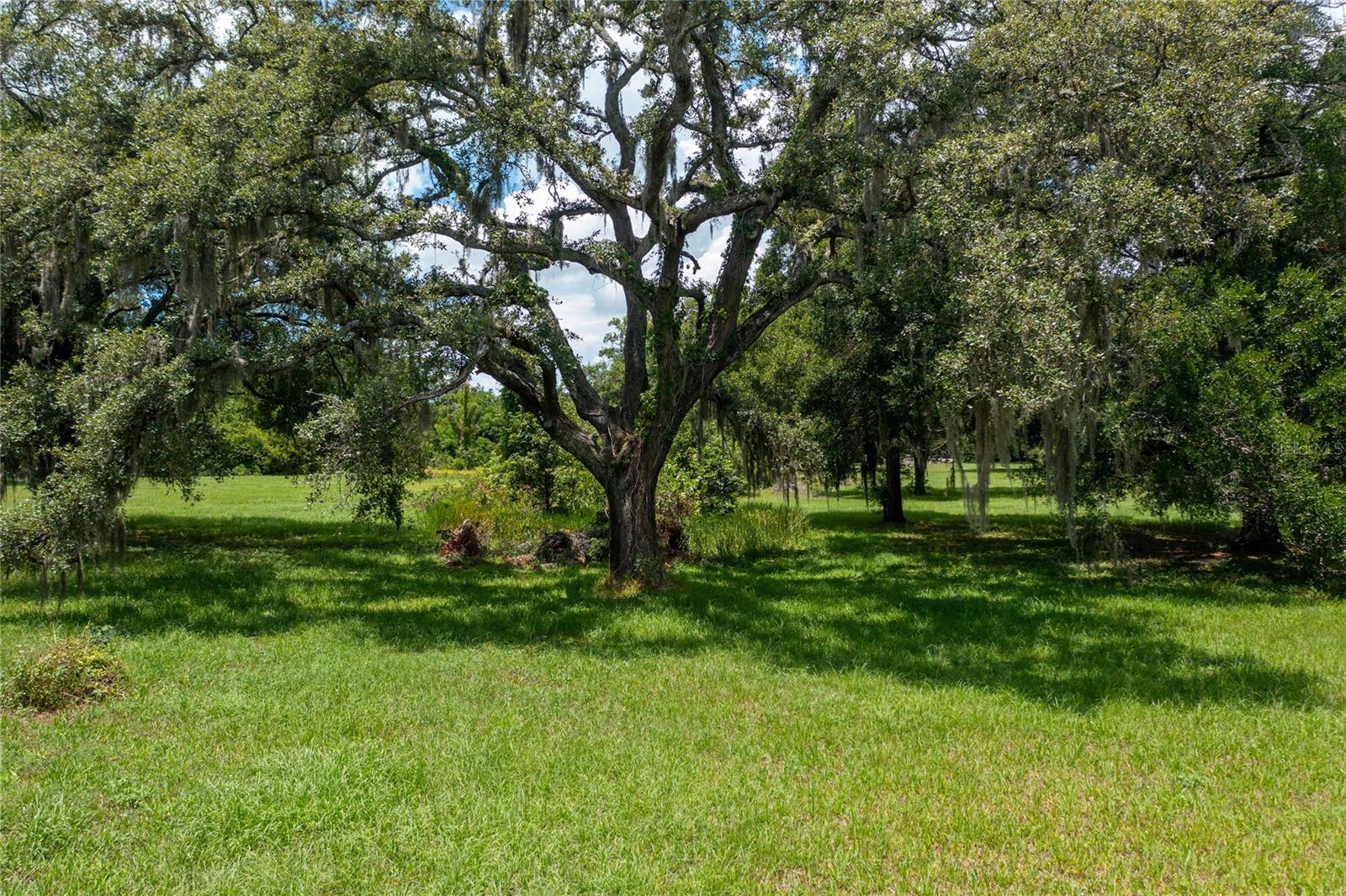 Details for Taylor Road N, SEFFNER, FL 33584