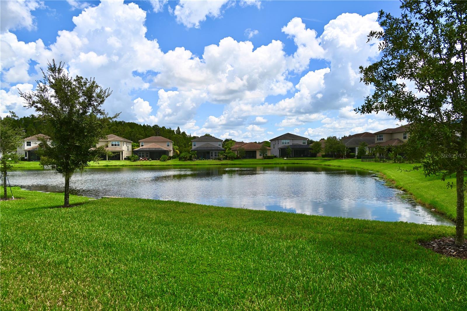 Image 63 of 78 For 31157 Lindentree Drive