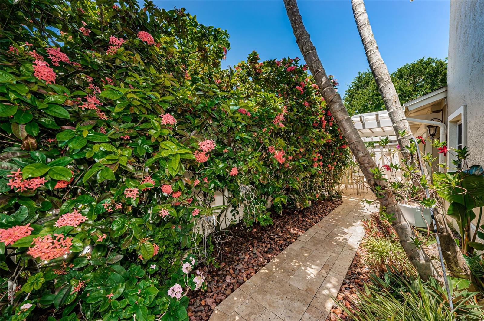 Listing photo id 60 for 10109 Tarpon Drive