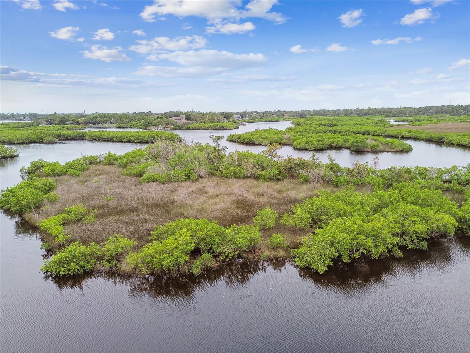 Image 68 of 69 For 1826 River Watch Boulevard