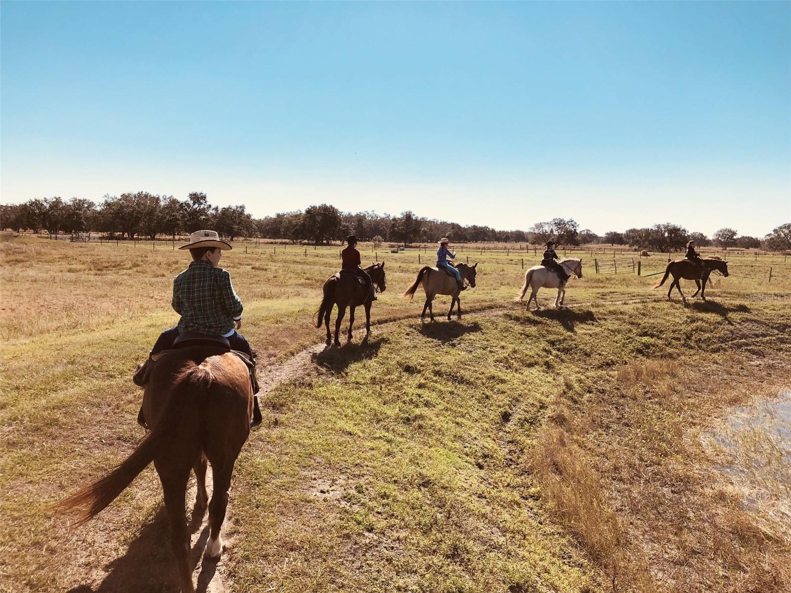 Image 12 of 13 For 212 Horseshoe Bend