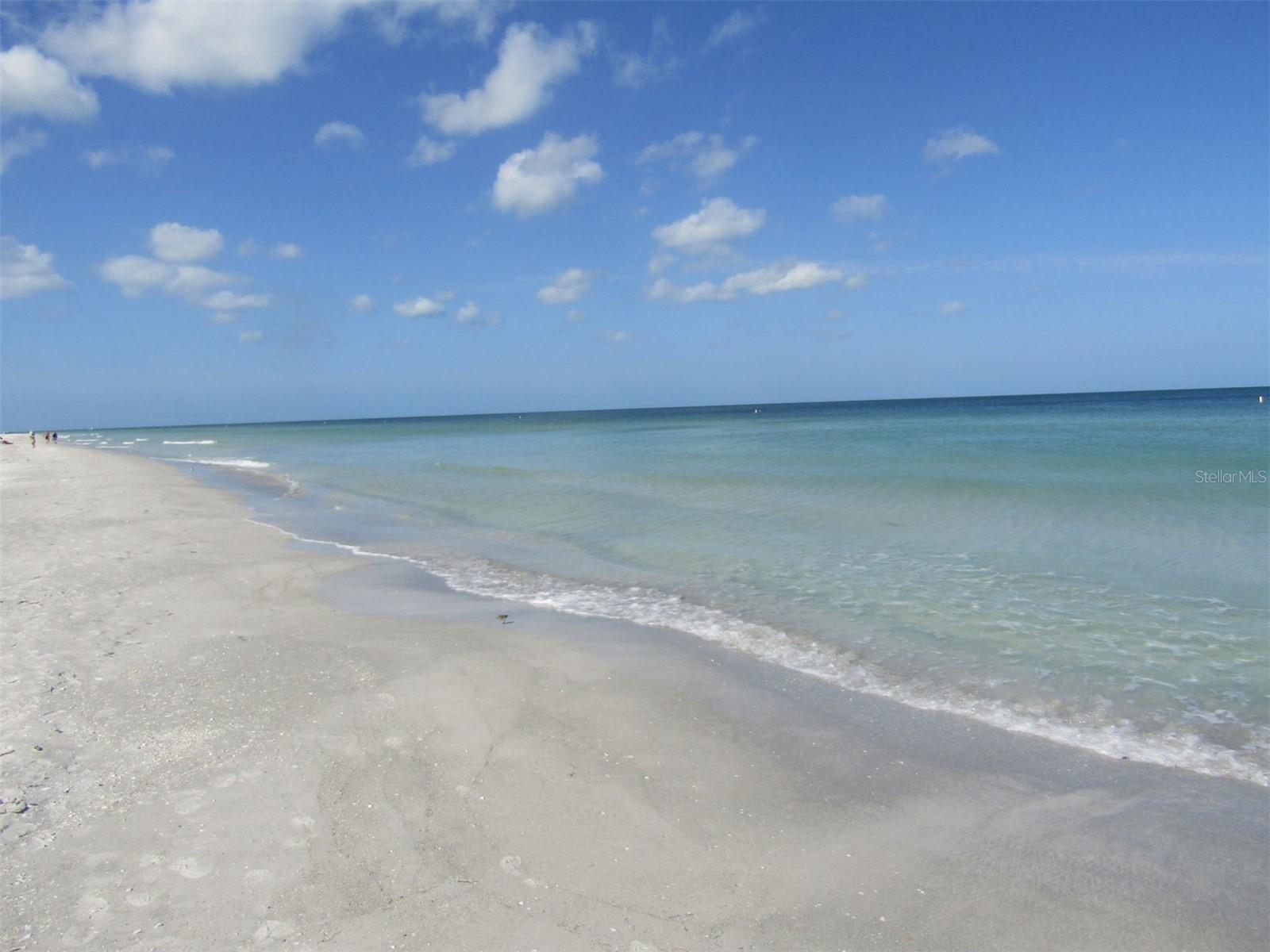 Image 36 of 39 For 1430 Gulf Boulevard 404