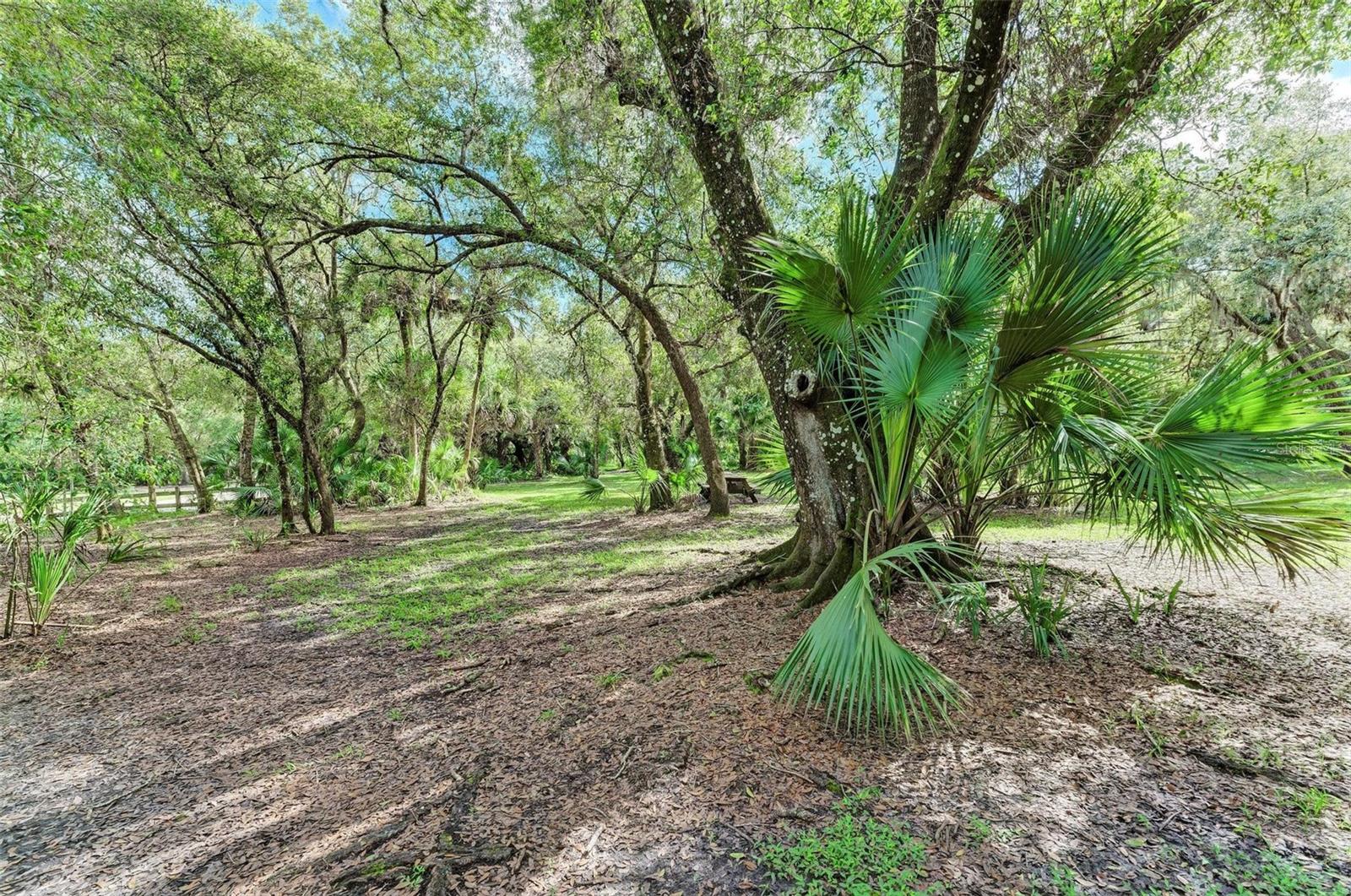 Image 85 of 95 For 4986 Ariton Road