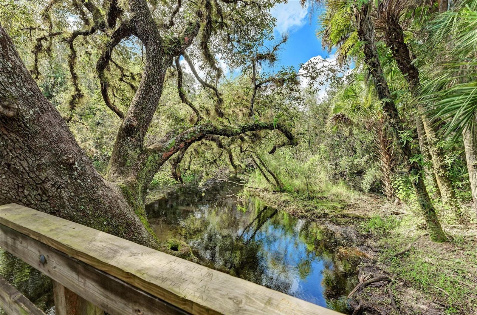 Image 95 of 95 For 4986 Ariton Road