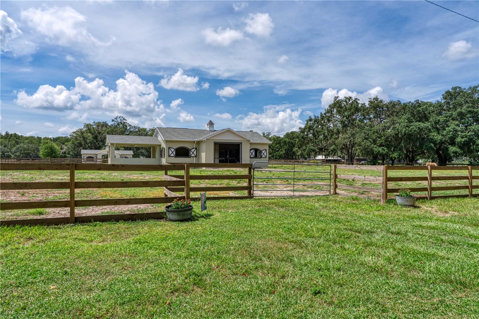 Listing photo id 13 for 10324 Saddle Ridge Road