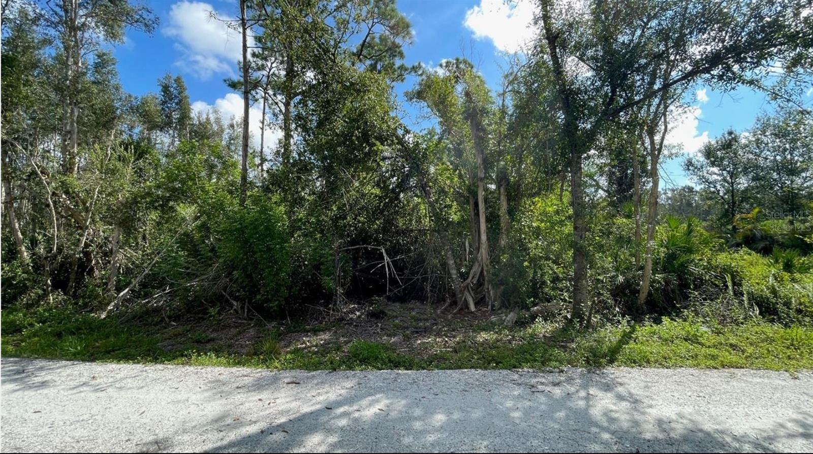 Image 16 of 16 For 12665 Easha Boulevard