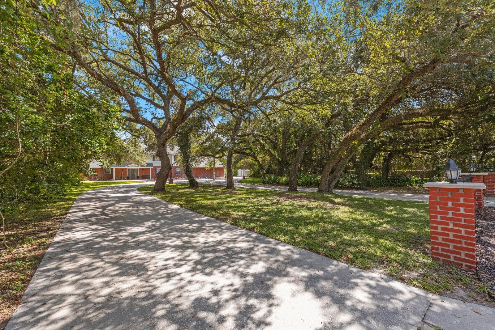 Listing photo id 40 for 8417 Cranes Roost Drive