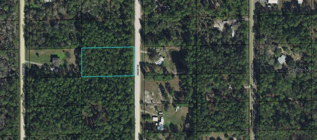 Listing Details for 1604 Holly Lane, BUNNELL, FL 32110