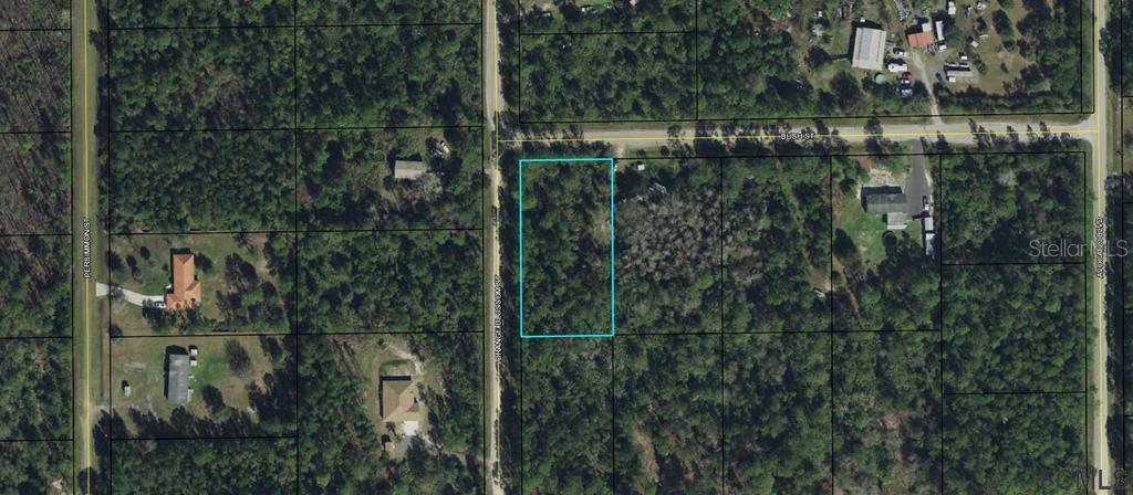 Listing Details for 6131 Bush Street, BUNNELL, FL 32110