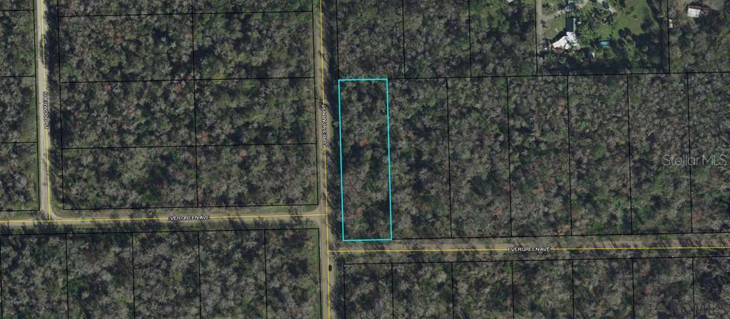 Listing Details for 3936 Evergreen Avenue, BUNNELL, FL 32110