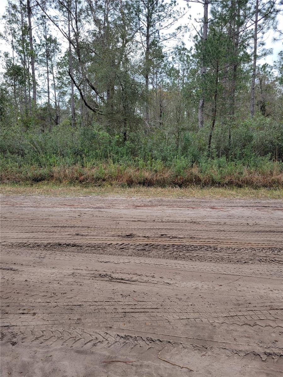 Details for 5009 Jonathan Street, HASTINGS, FL 32145