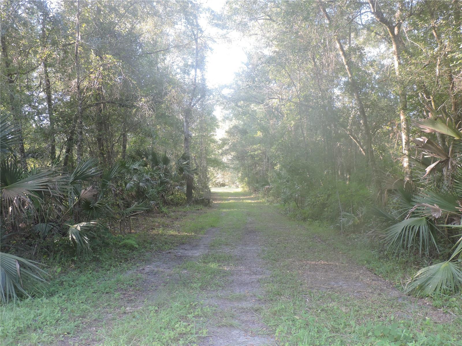 Details for County Road 2006 West W, BUNNELL, FL 32110