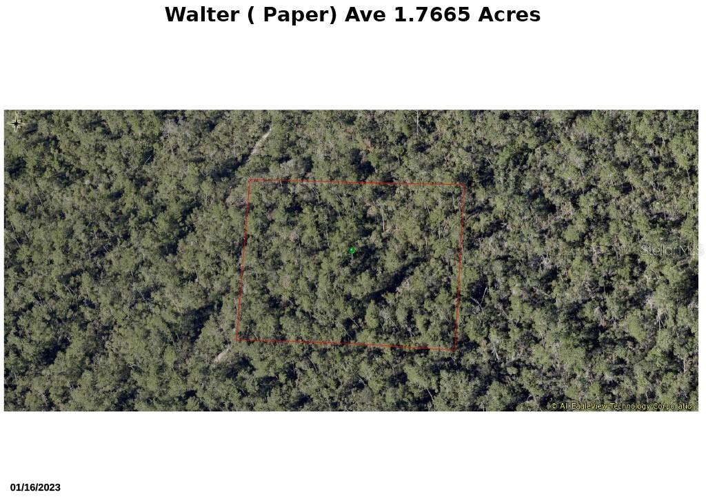 Listing Details for Walter Paper Avenue, LAKE HELEN, FL 32744