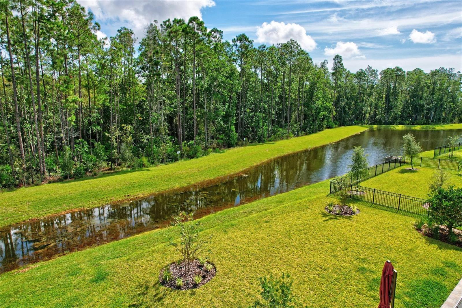 Image 11 of 77 For 126 Wood Stork Lane