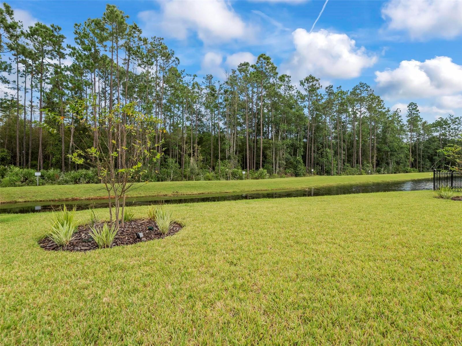 Image 39 of 77 For 126 Wood Stork Lane