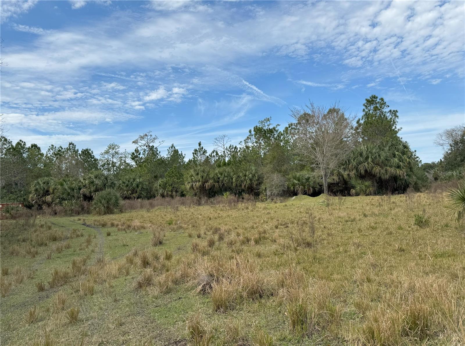 Image 4 of 5 For 1750 Tomoka Farms Rd