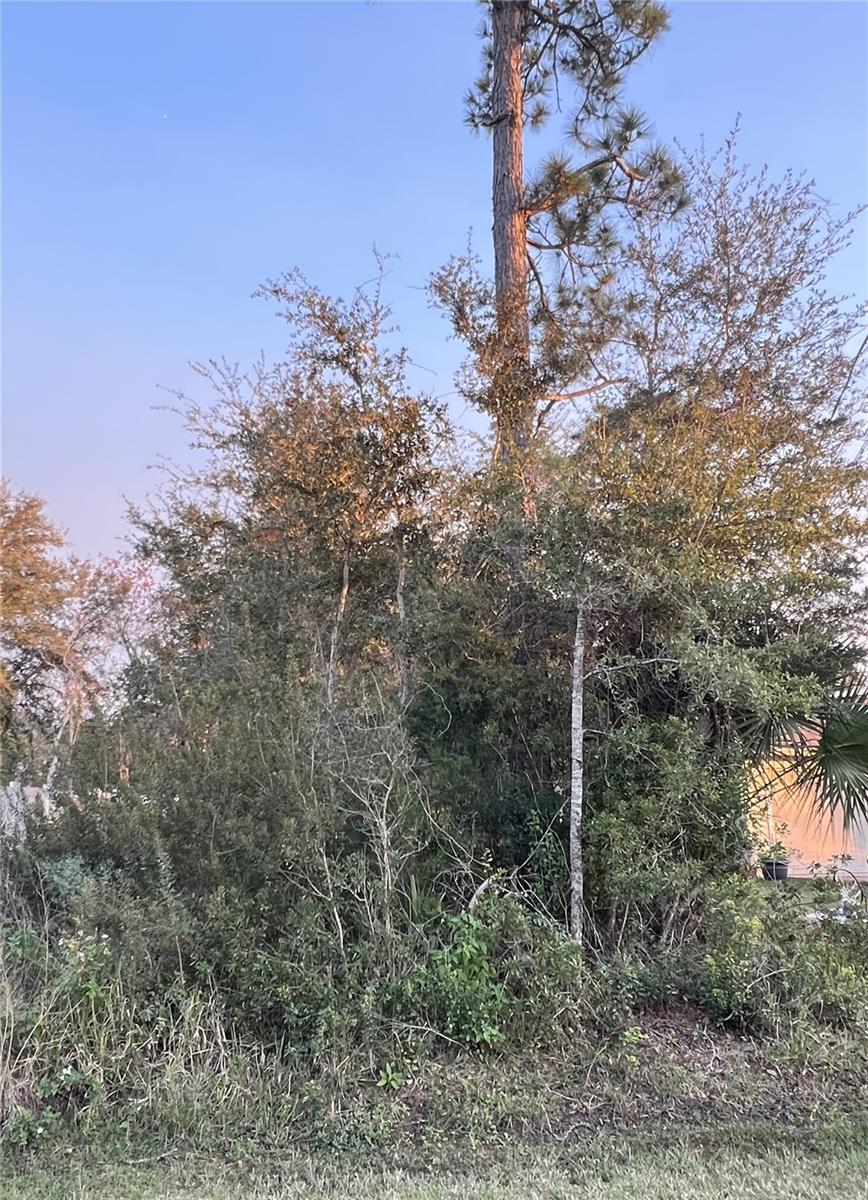 Image 5 of 5 For 13 Wellesley Lane