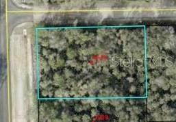 Listing Details for 6665 Walnut Avenue, BUNNELL, FL 32110