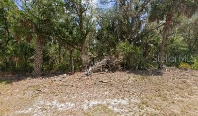 Listing Details for 12479 Deodar Street, CRYSTAL RIVER, FL 34428