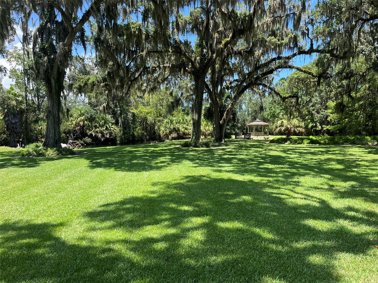 Image 25 of 29 For 308 Palm Coast Parkway Ne 203