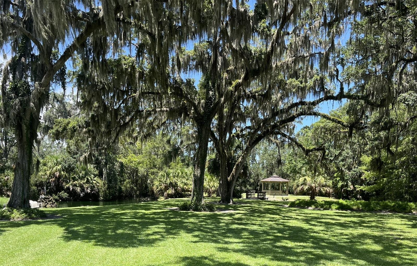 Image 26 of 29 For 308 Palm Coast Parkway Ne 203