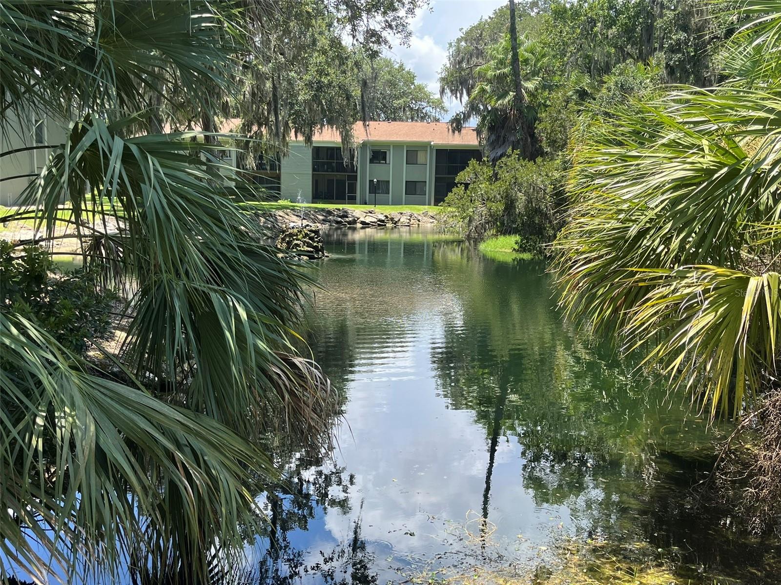Image 29 of 29 For 308 Palm Coast Parkway Ne 203