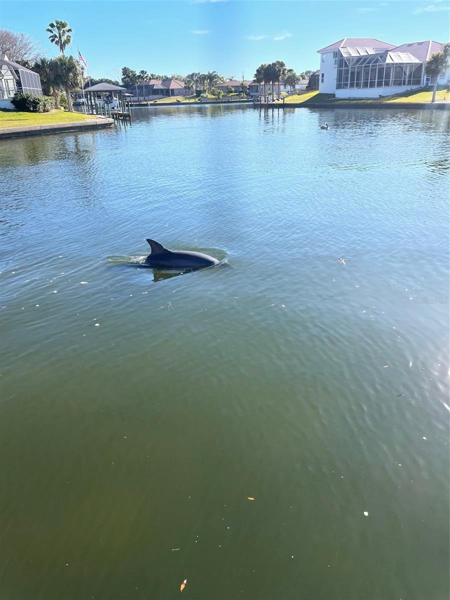 Image 60 of 69 For 3 Creek Court