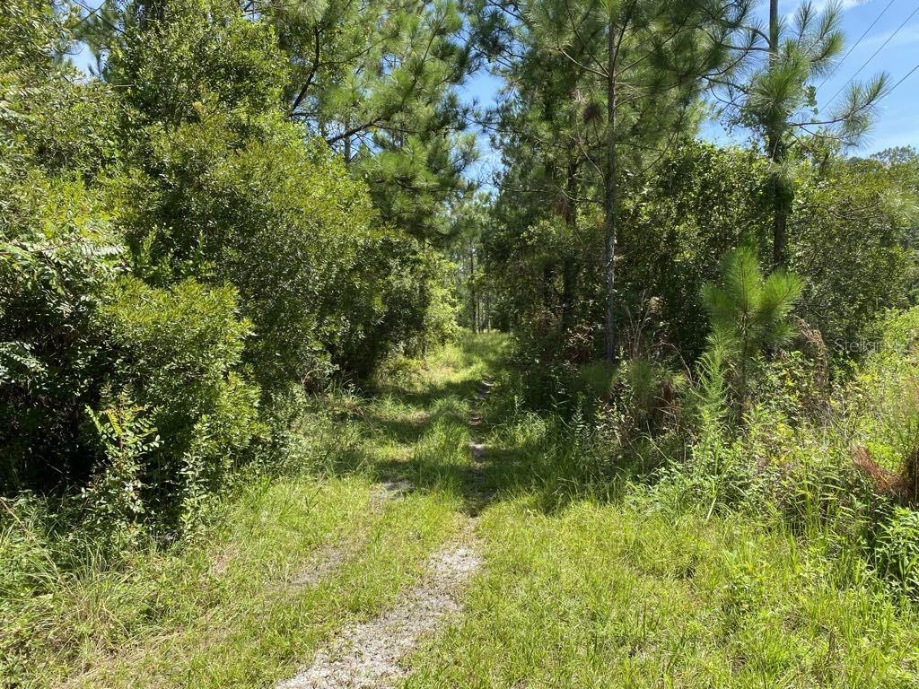 Details for 550 River Road, PALATKA, FL 32177