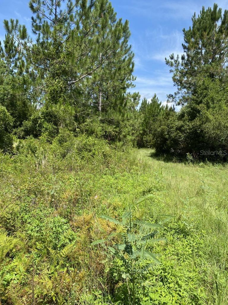Image 6 of 19 For 550 River Road