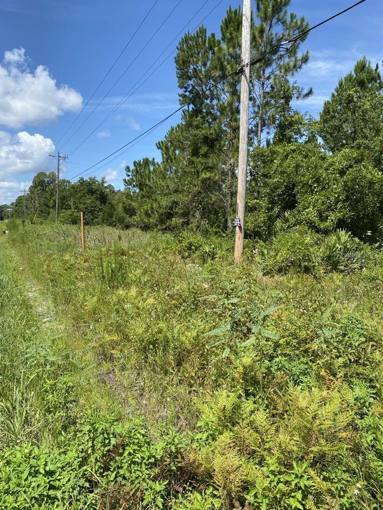 Image 8 of 19 For 550 River Road