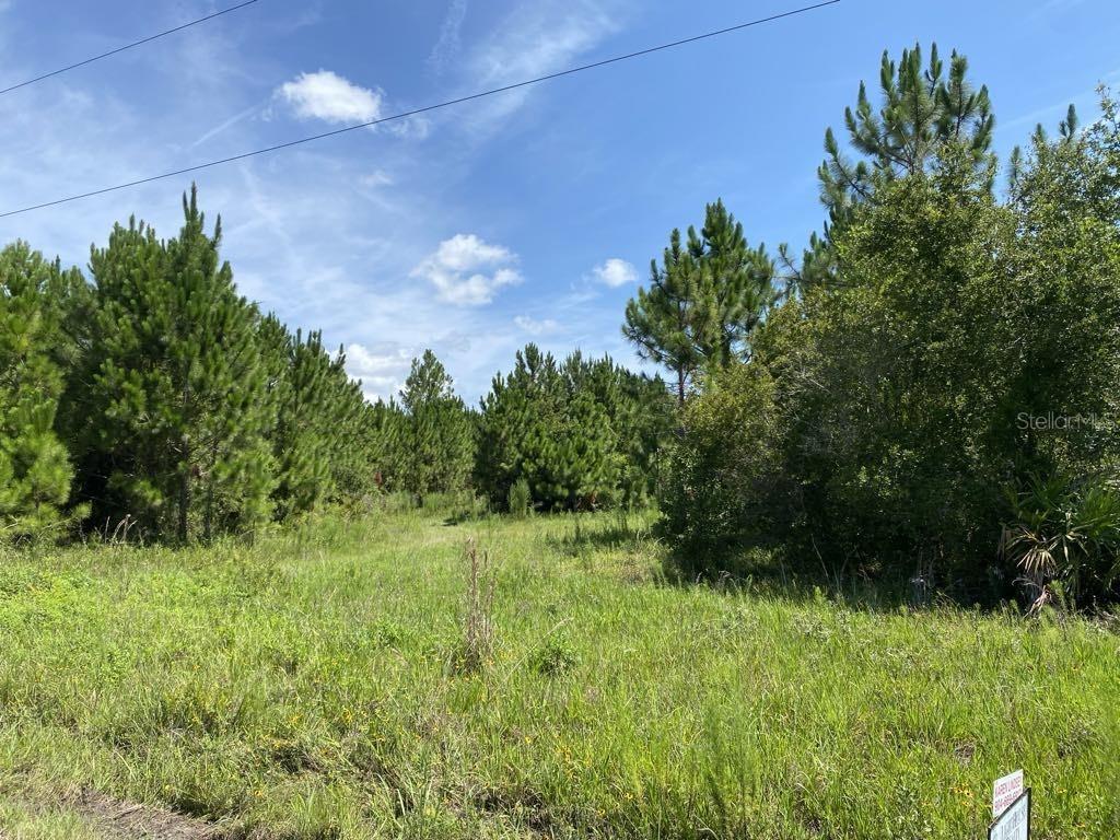 Image 9 of 19 For 550 River Road