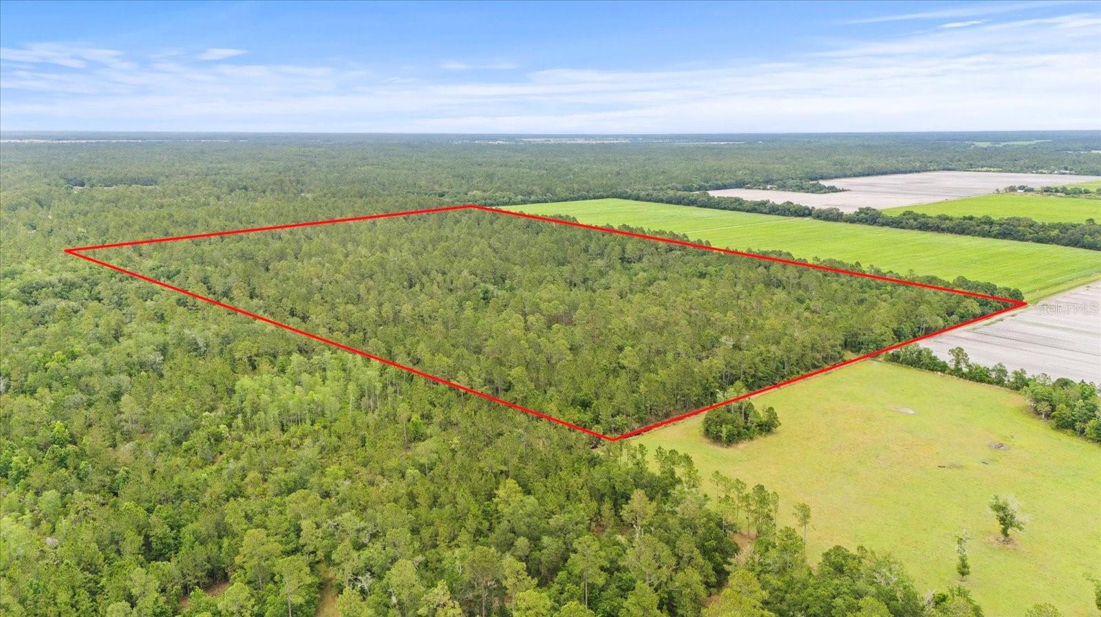 Details for Tangerine Avenue, BUNNELL, FL 32110