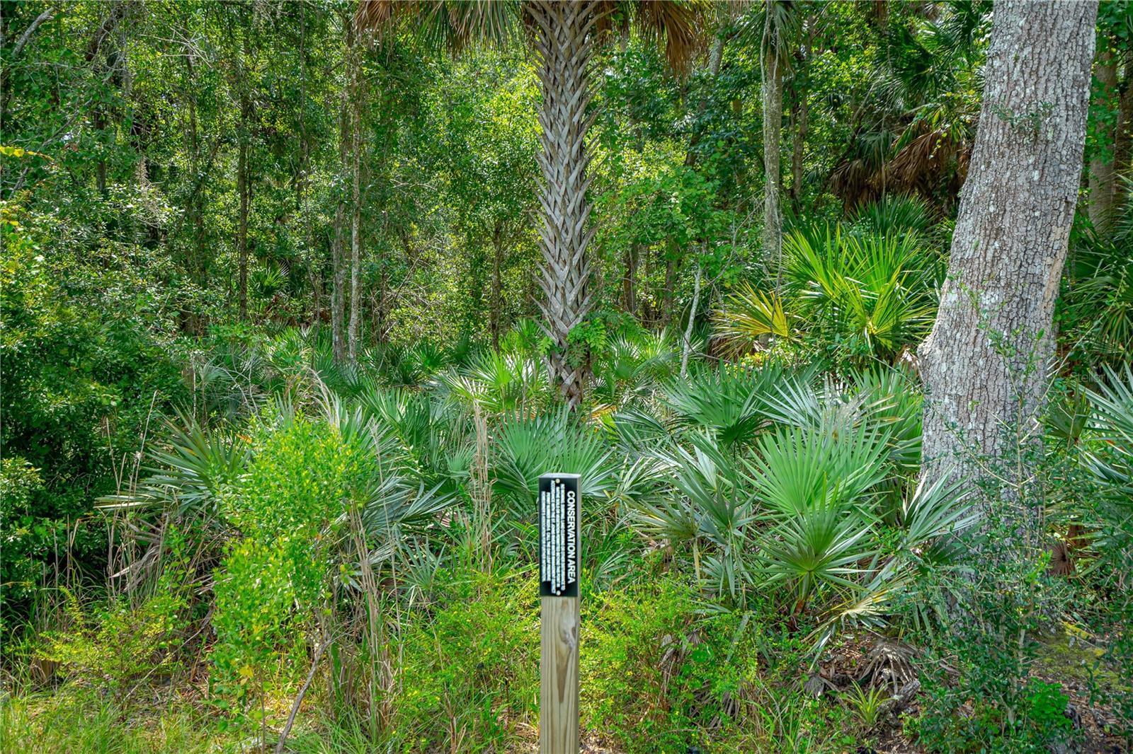 Image 29 of 40 For 1743 Red Rock Road
