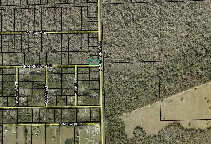 Details for 2242 Cr 305  , BUNNELL, FL 32110