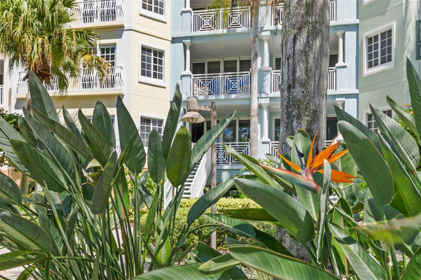 Image 8 of 59 For 102 Yacht Harbor Drive 567