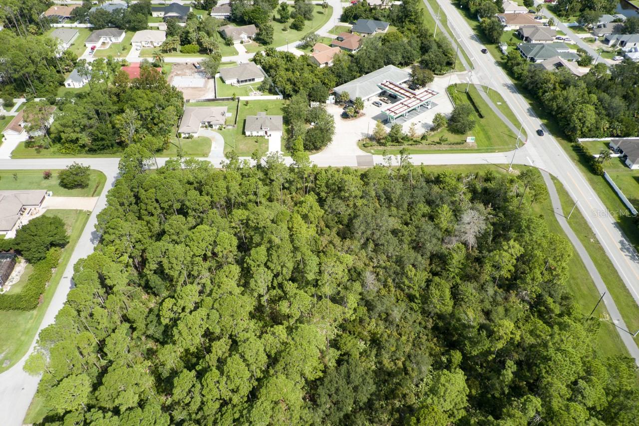 Image 3 of 10 For 1695 Palm Harbor Parkway