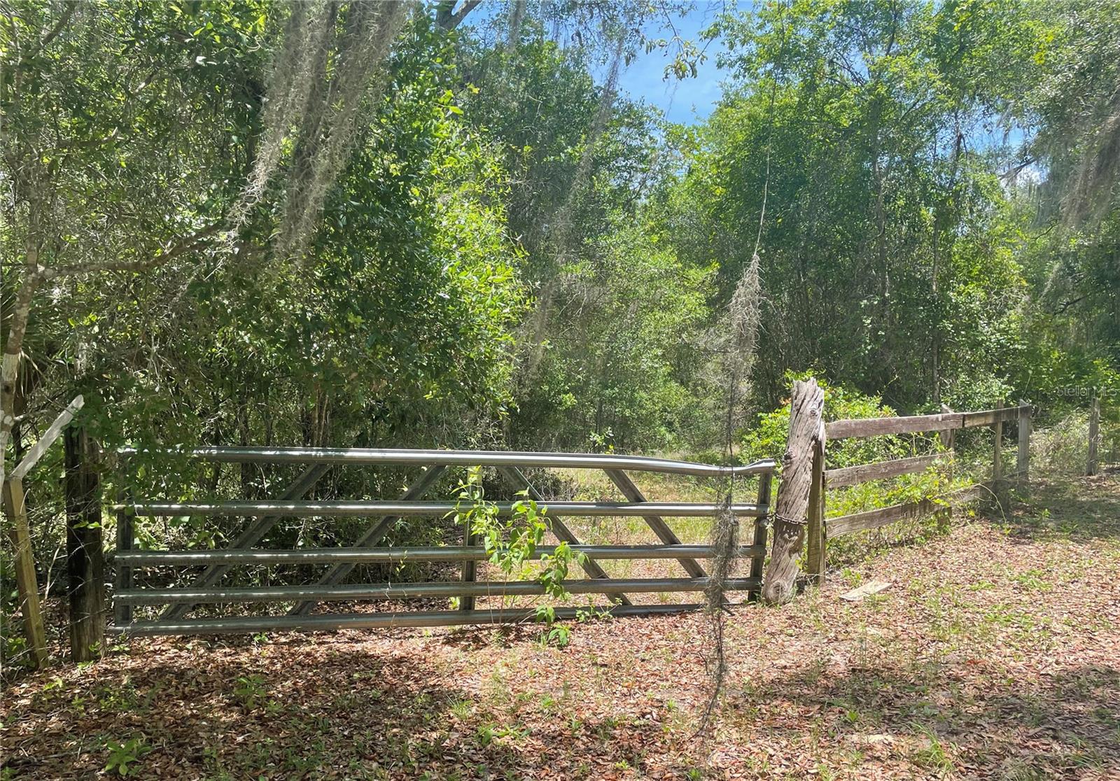 Image 6 of 8 For Lake Dias Cemetery Road