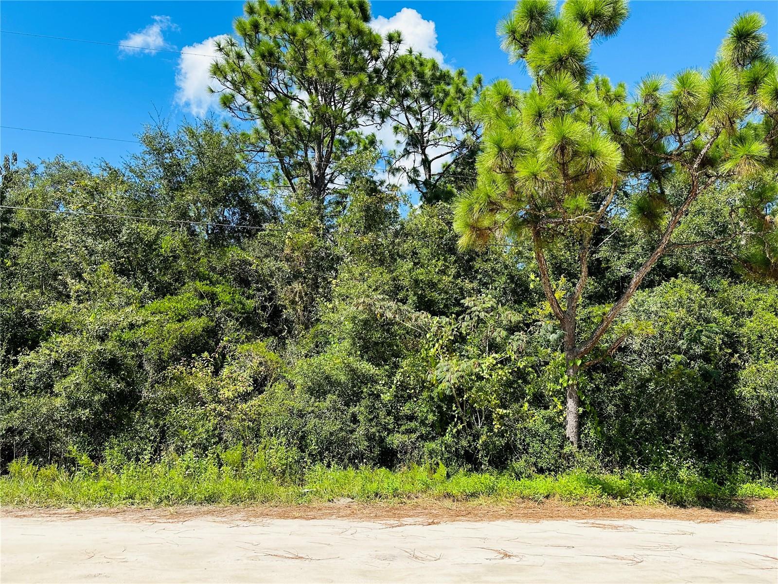 Image 2 of 10 For 106 Sunland Drive