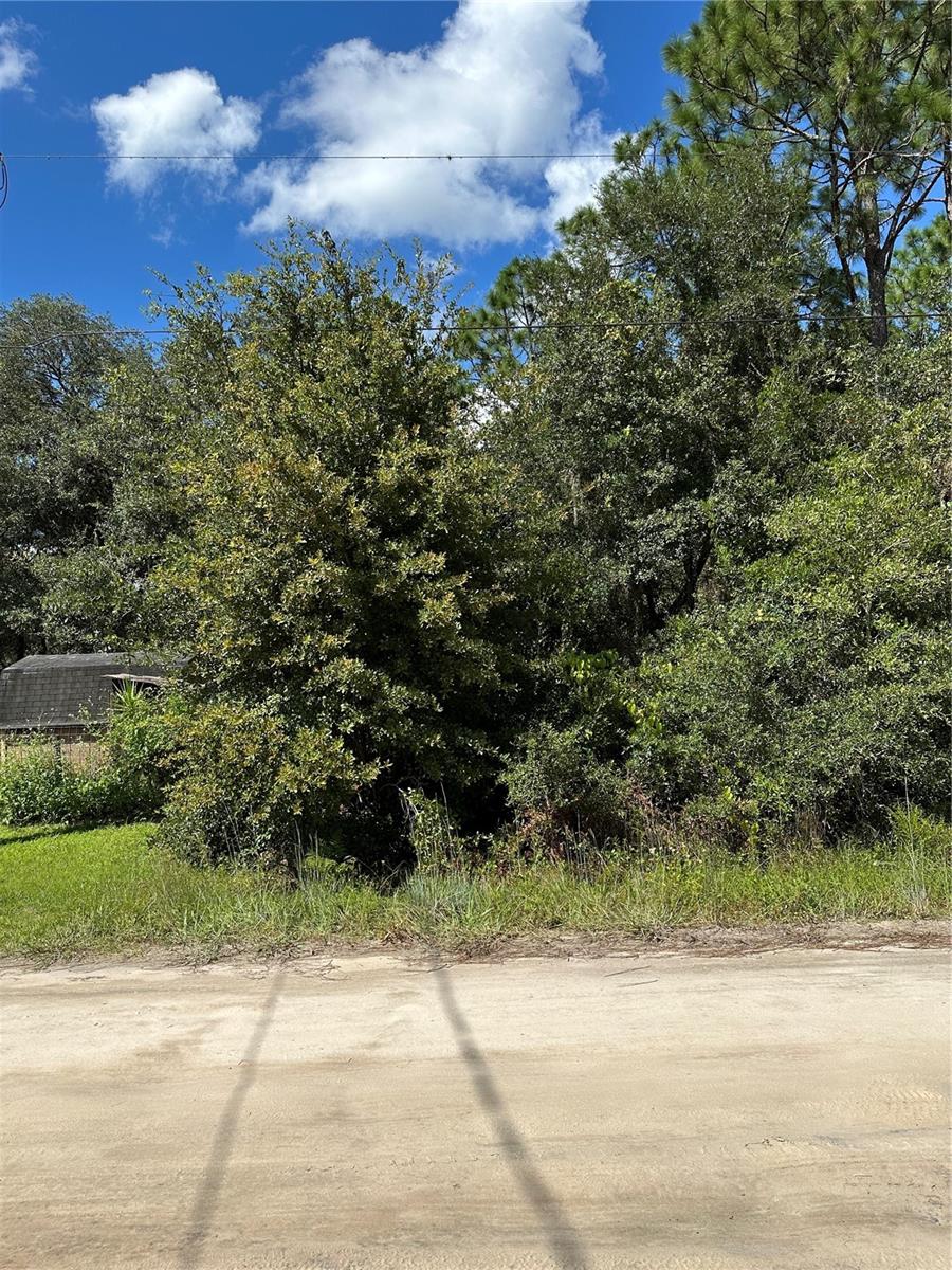Image 8 of 10 For 106 Sunland Drive