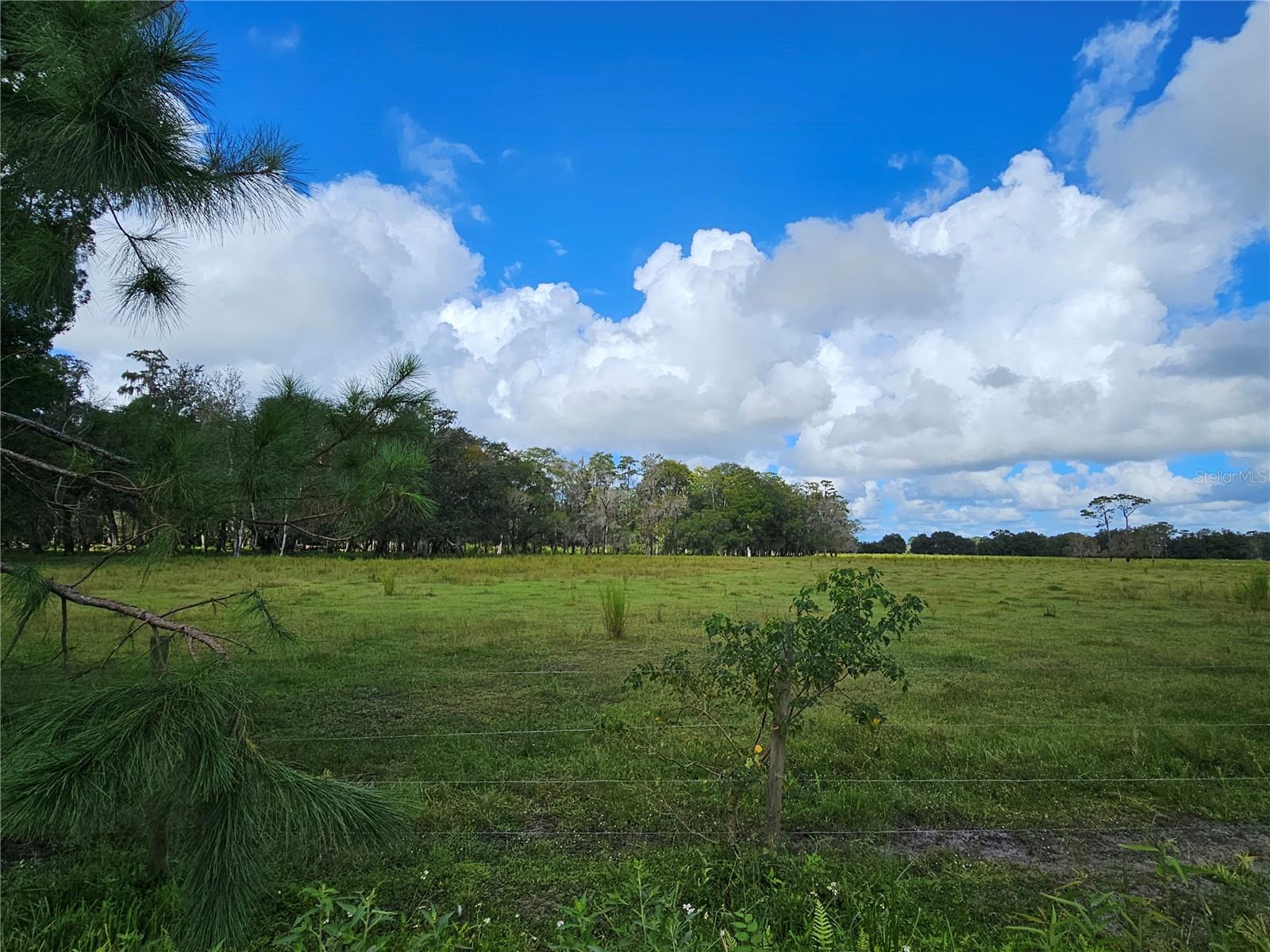 Image 3 of 12 For 000 County Road 65  Parcel B